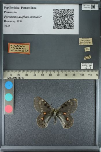Media type: image;   Entomology 180460
